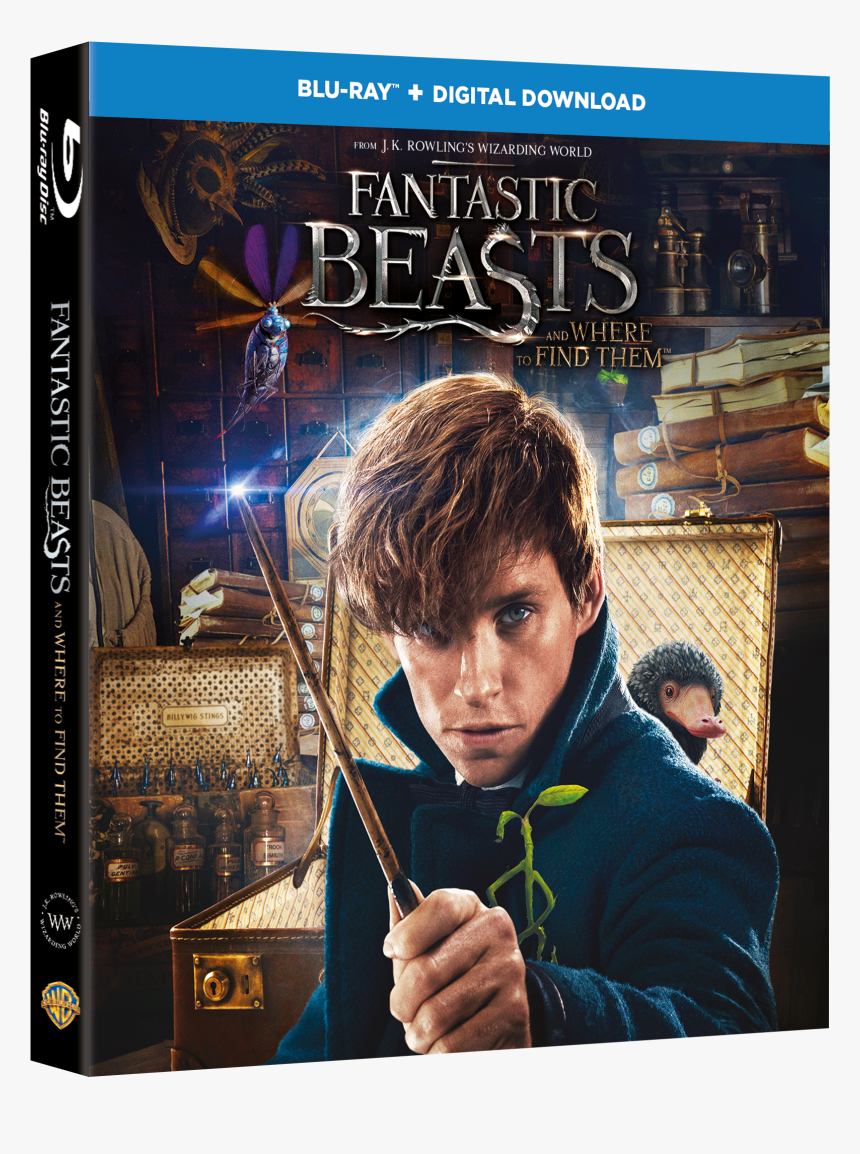 Fantastic Beasts Bd 3d Packshot - Fantastic Beasts 4k Blu Ray, HD Png Download, Free Download