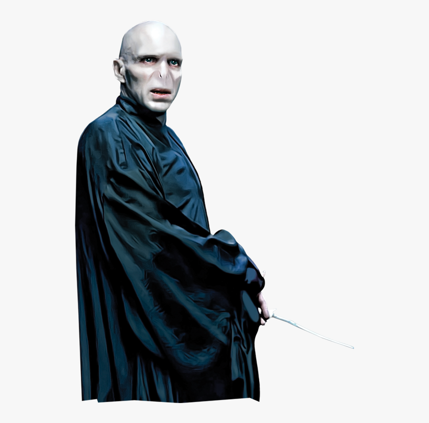 Harry Potter Voldemort Png, Transparent Png, Free Download