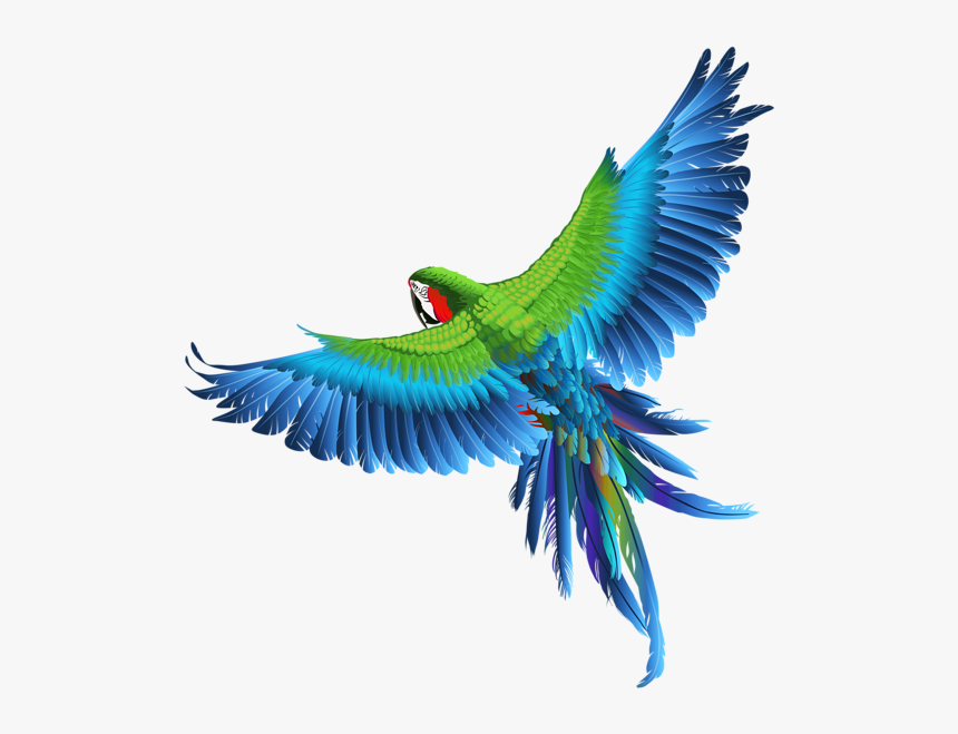 Transparent Background Bird Png Hd, Png Download, Free Download