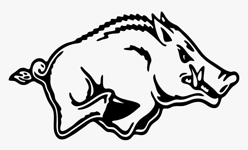 Clip Art Razorback Hog Images - Arkansas Razorbacks Coloring Pages, HD Png Download, Free Download