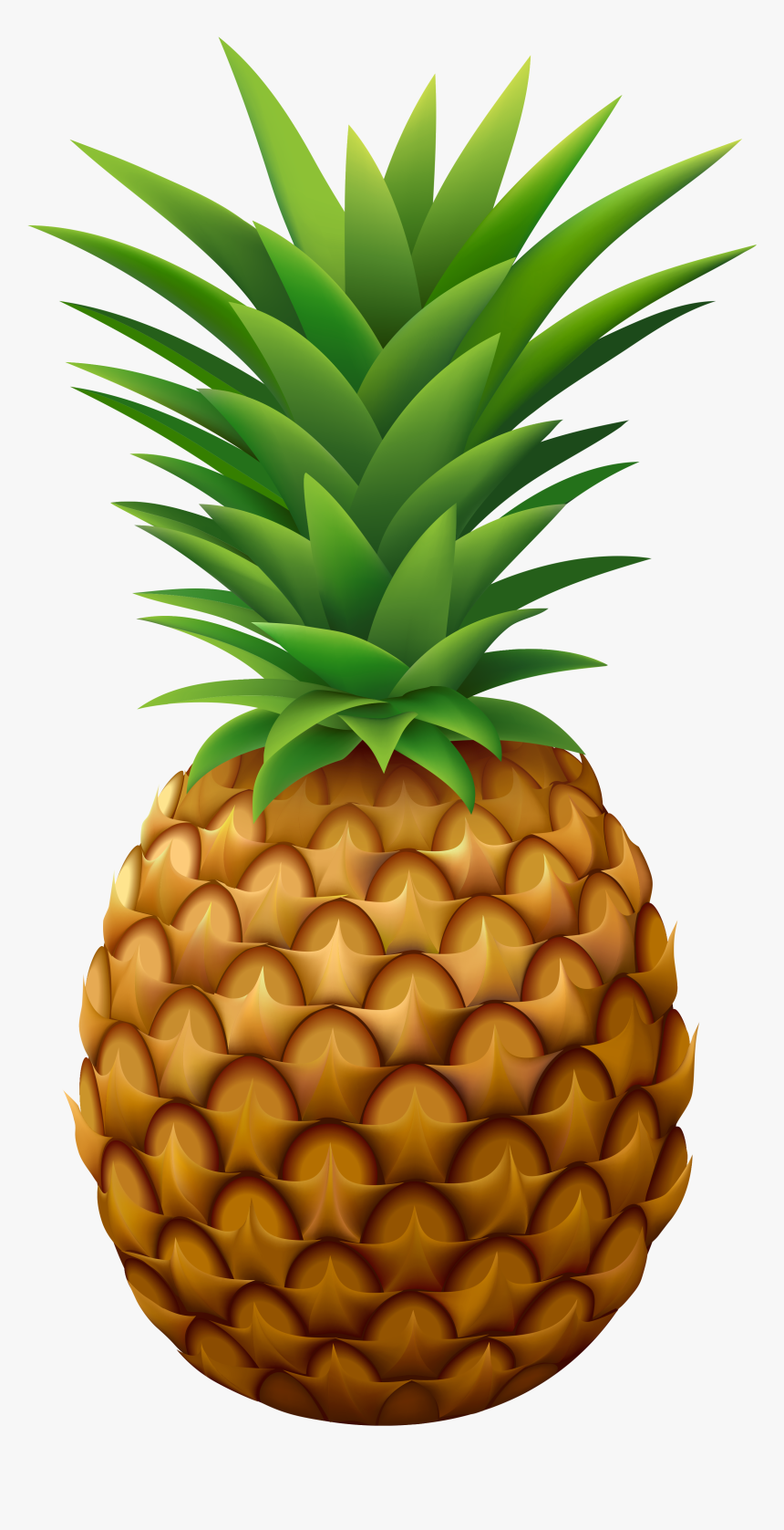 Pin By Obchod Oliver On Ananas/pineapple - Pineapple Png, Transparent Png, Free Download