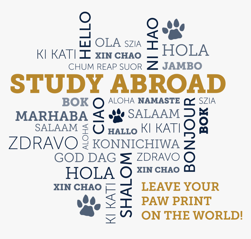 Fiu Study Abroad Logo, HD Png Download, Free Download