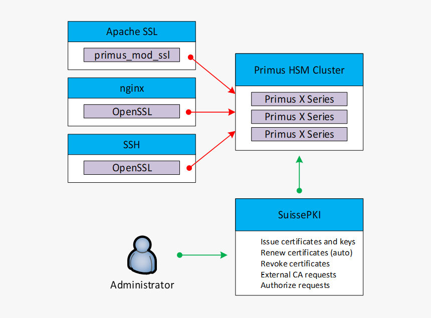 Manage Certificate On Apache, HD Png Download, Free Download