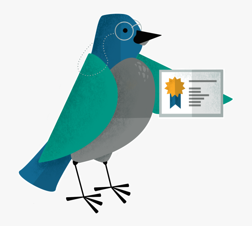 Certified Childcare Teal - Mountain Bluebird, HD Png Download, Free Download