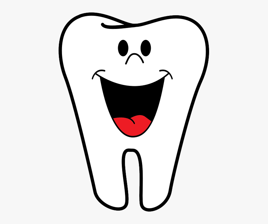 Cartoon Tooth - Cartoon Tooth Clipart, HD Png Download, Free Download