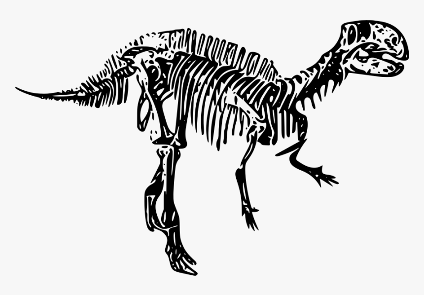 Dinosaur Fossils Clipart Black And White, HD Png Download, Free Download