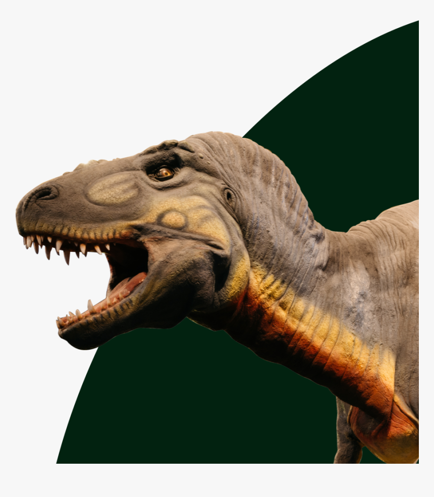 Dinosaur - Lesothosaurus, HD Png Download, Free Download