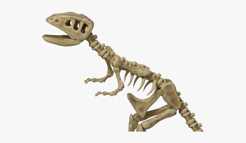 Lesothosaurus, HD Png Download, Free Download