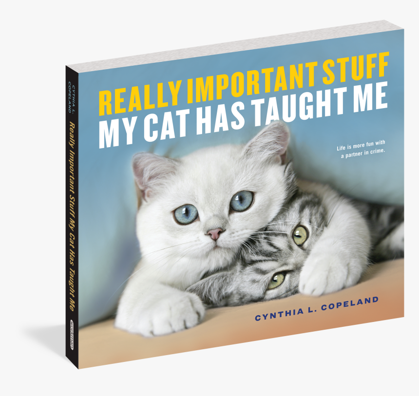 Cover - Really Important Stuff My Cat Has Taught Me, HD Png Download, Free Download