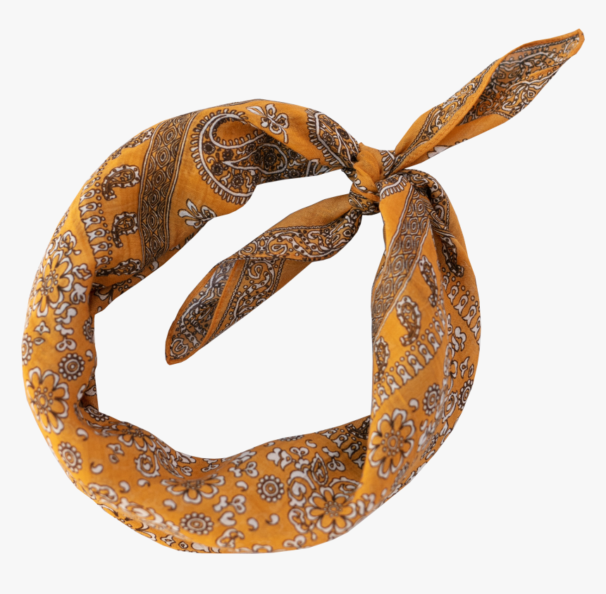 Paisley, HD Png Download, Free Download