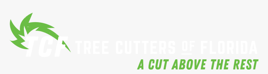 Tree Cutters Of Florida - Graphic Design, HD Png Download, Free Download