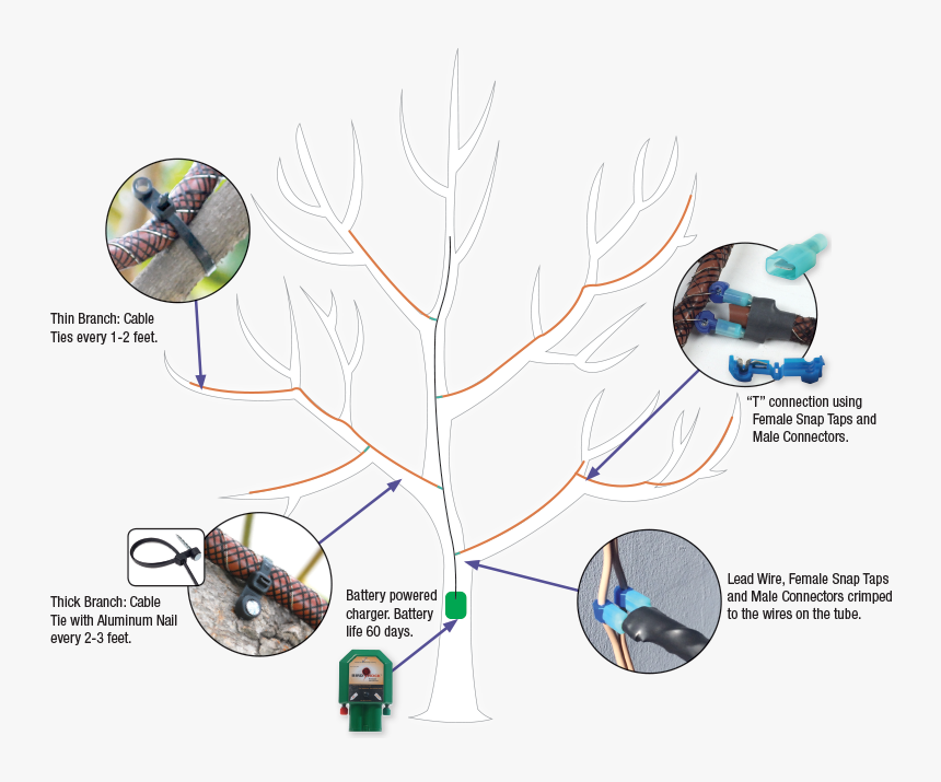 Tree-shock Installation Guideline - Tree Shock, HD Png Download, Free Download