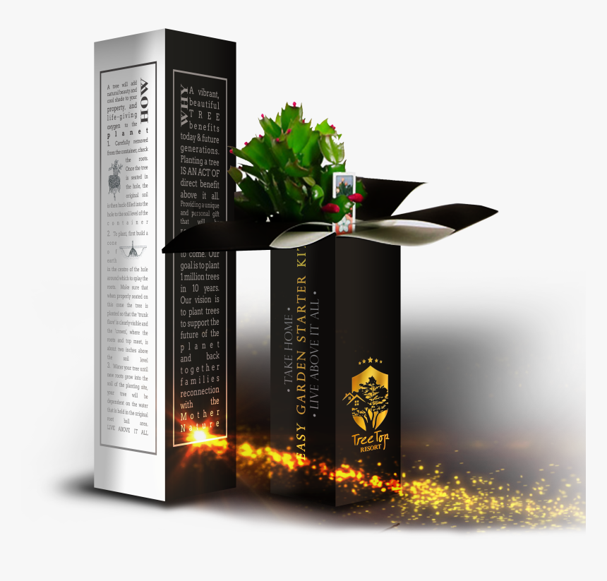 Shelf, HD Png Download, Free Download