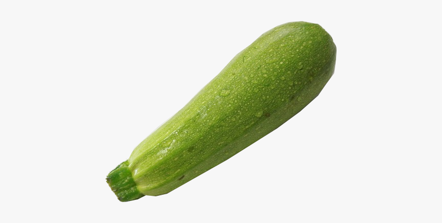 Cucumber Pumpkin Vegetable Melon - Zucchini, HD Png Download, Free Download