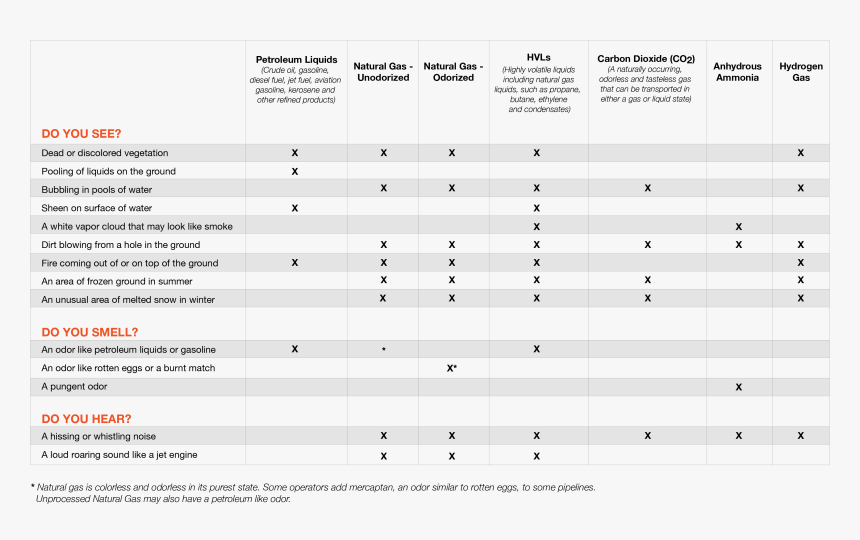 Document, HD Png Download, Free Download