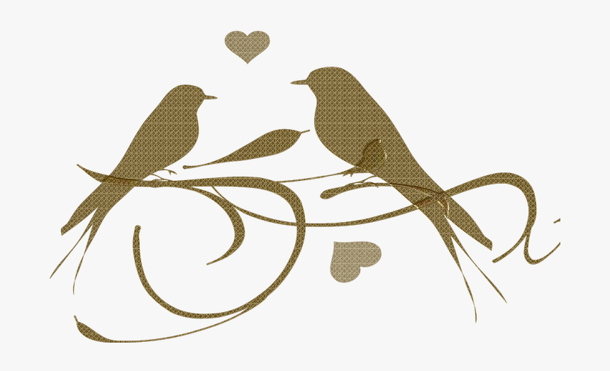 Love Birds Black And White, HD Png Download, Free Download