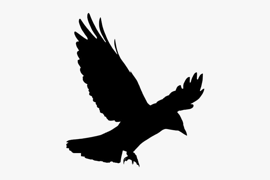Flying Crow Png, Transparent Flying Crow Image - Crow Png, Png Download, Free Download