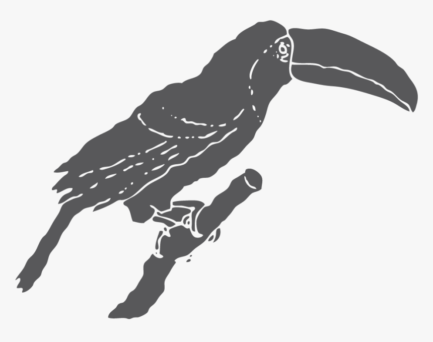 Toucan, HD Png Download, Free Download