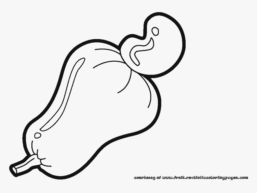 Transparent Cashew Png - Clip Art Cashew Nut Fruit Drawing, Png Download, Free Download