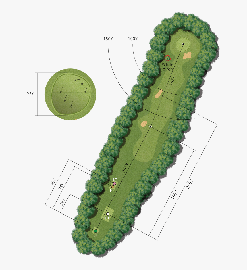 Transparent Site Plan Trees Png - Plan, Png Download, Free Download