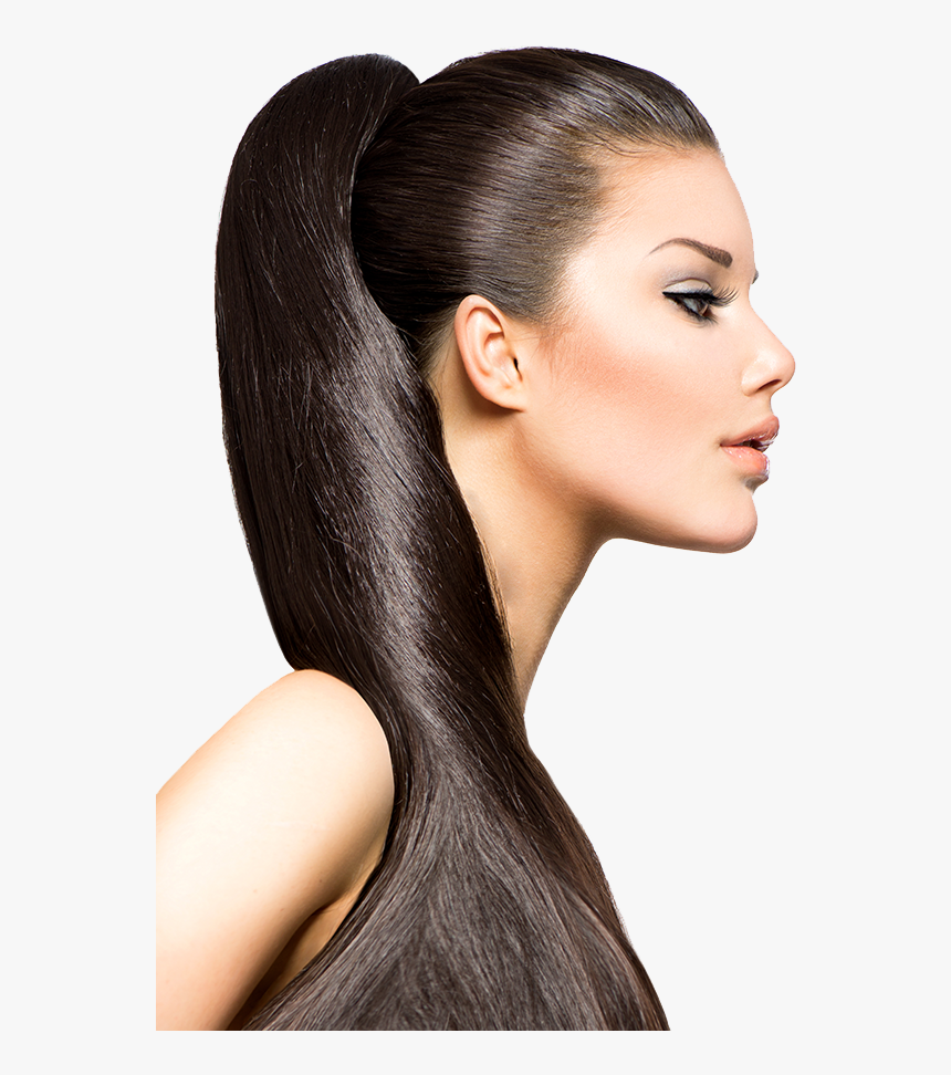Ponytail Extensions, HD Png Download, Free Download