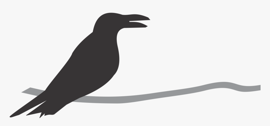 Crow, HD Png Download, Free Download