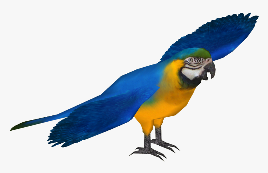 Blue And Gold Macaw - Macaw Blue And Gold Png, Transparent Png, Free Download