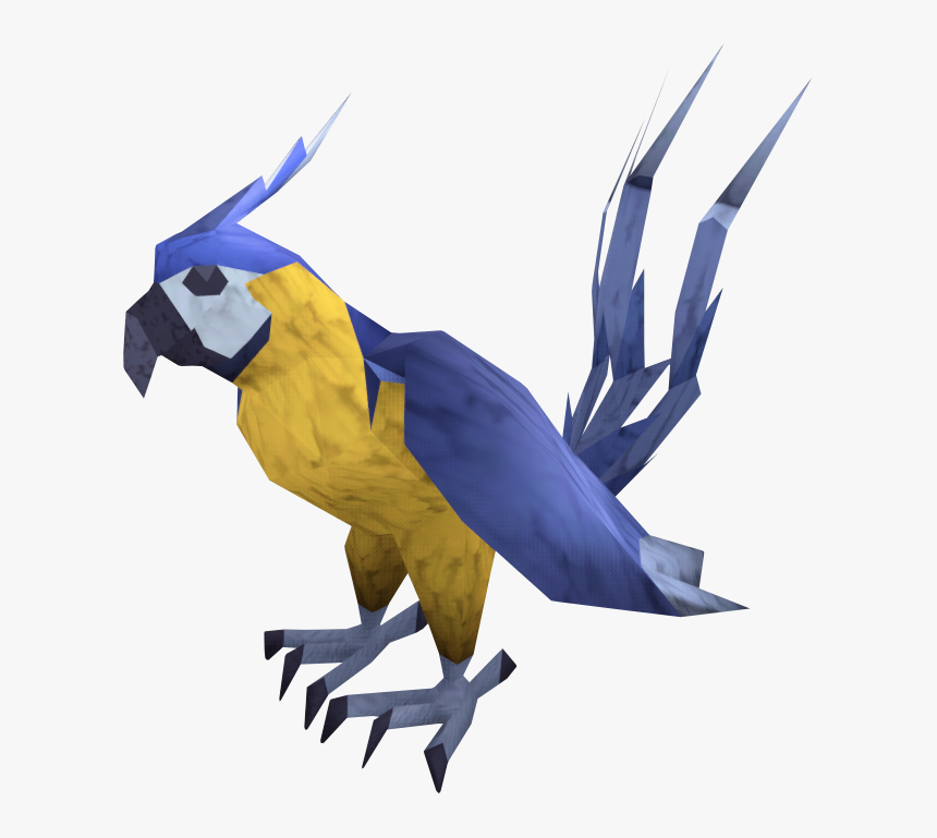 Macaw, HD Png Download, Free Download