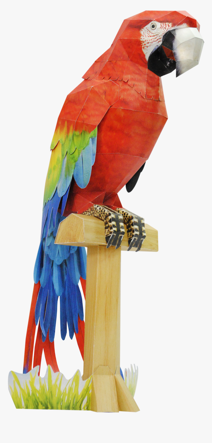 Scarlet Macaw Papercraft, HD Png Download, Free Download