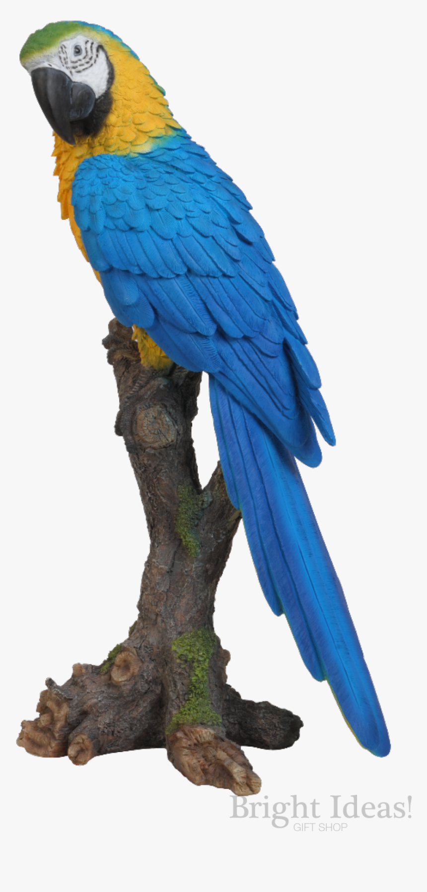 Macaw Bird Png Blue, Transparent Png, Free Download