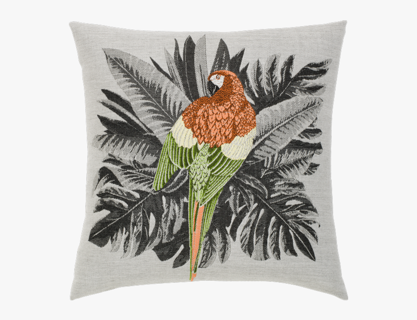 Macaw - Cushion, HD Png Download, Free Download