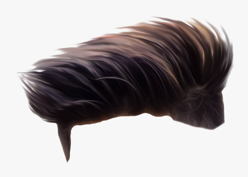 Men Hair Png Image - Hair Png Hd Download, Transparent Png, Free Download