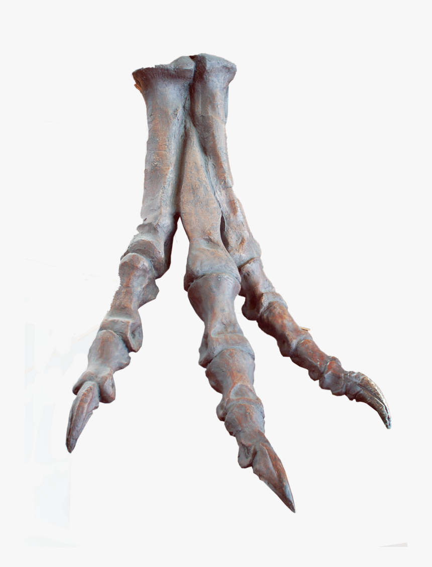 Transparent Claw Slash Png - Bone, Png Download, Free Download