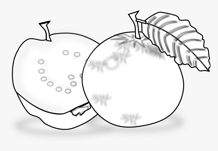 Guava Clipart Black And White - Guava Black And White, HD Png Download, Free Download