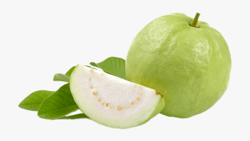 Guava Png - Green Guava, Transparent Png, Free Download