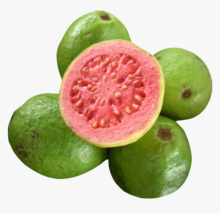 Guava Png - Guavas Fruit, Transparent Png, Free Download