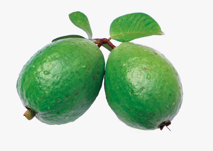 Guava Png, Transparent Png, Free Download
