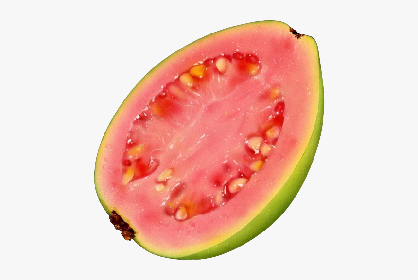 Guava Png - Guava Fruit Illustrations, Transparent Png, Free Download