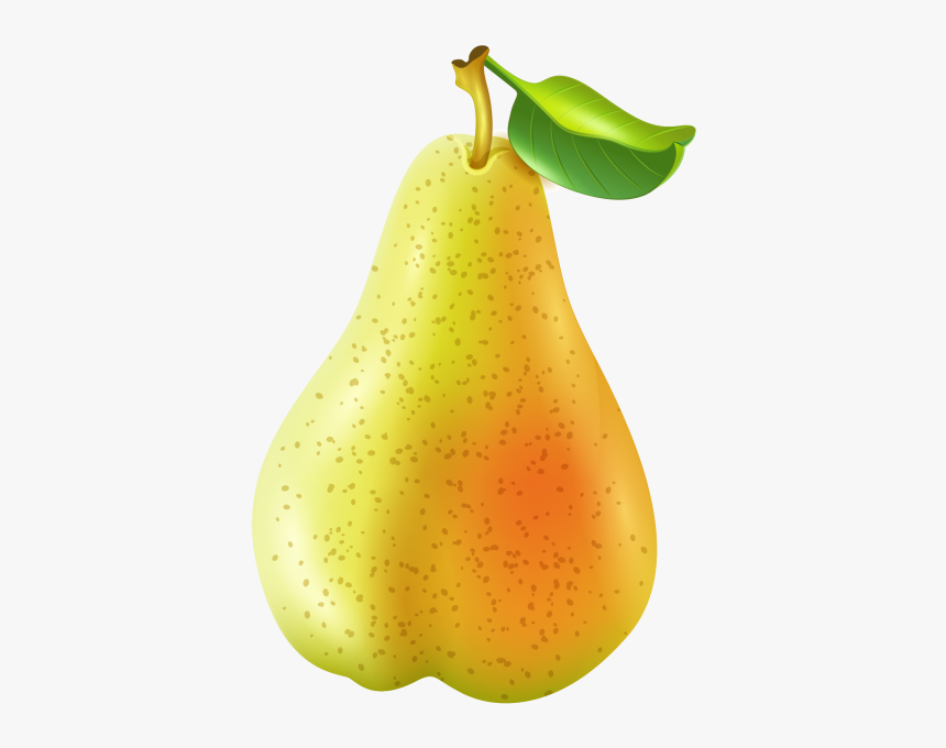 Guava Png Image Free Download Searchpng - Guava Png, Transparent Png, Free Download