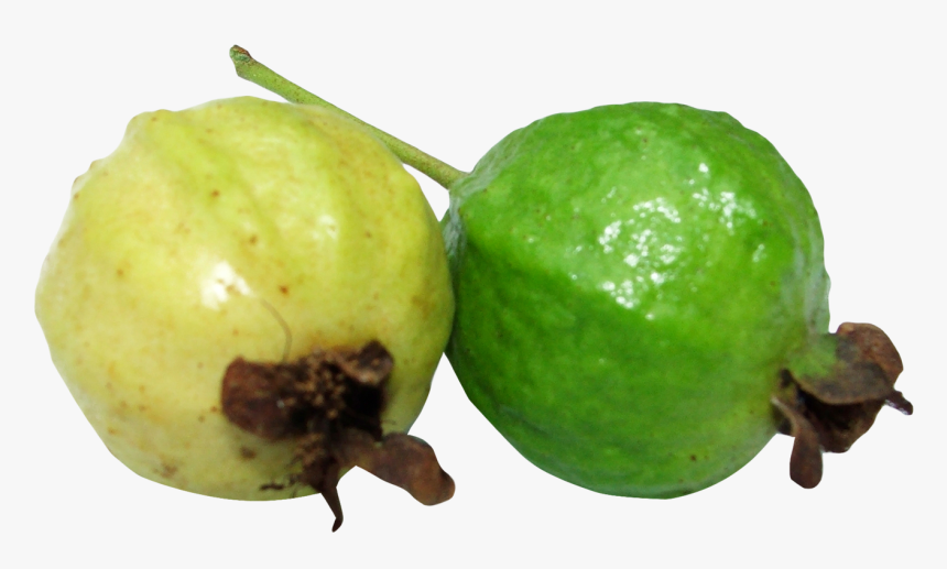 Guava Png Image - Clipart Picture Of Guava, Transparent Png, Free Download