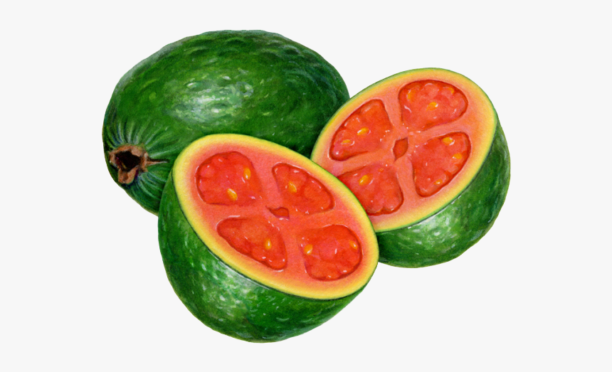 Watermelon Guava, HD Png Download, Free Download