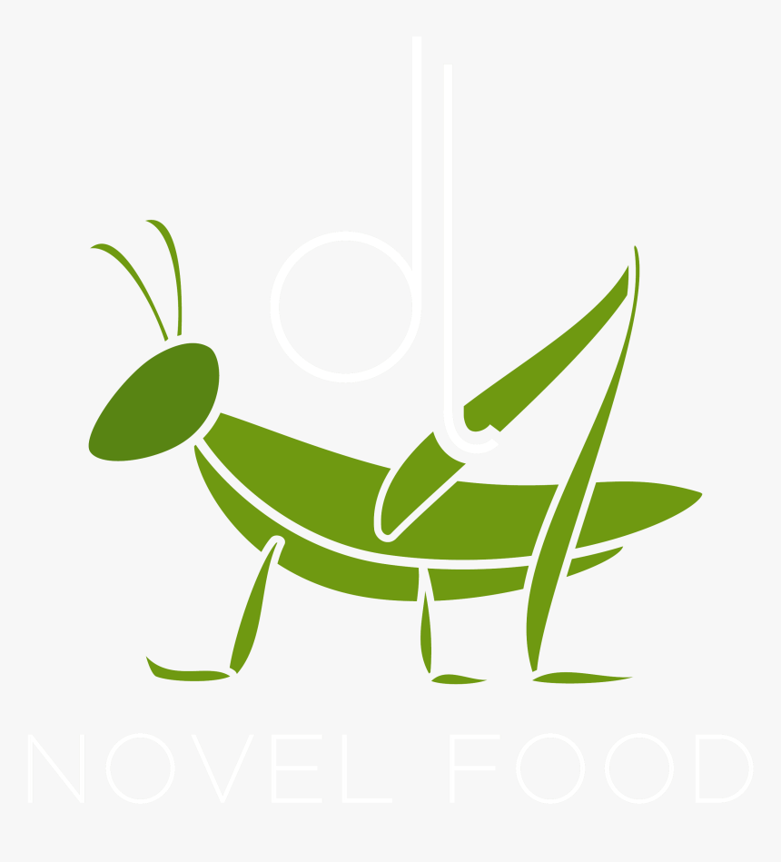 Cricket Clipart Insect Grasshopper - Dl Novel Food, HD Png Download, Free Download