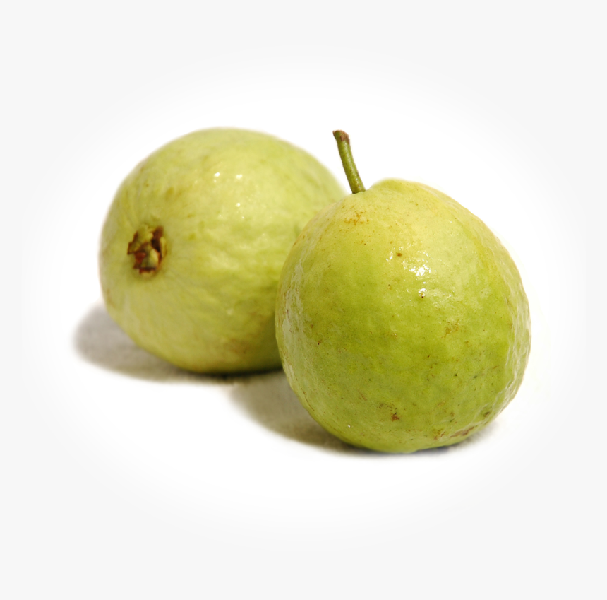 Guava Fruit , Png Download - Guava Fruit, Transparent Png, Free Download