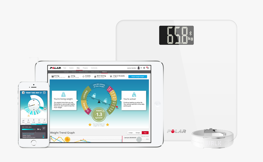 Balanceecosystemvert - Polar Balance Scale, HD Png Download, Free Download