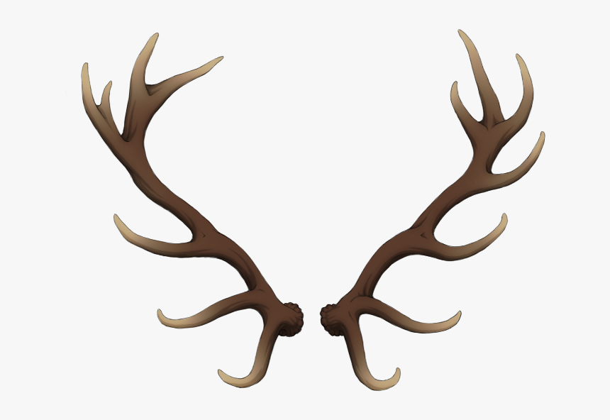 Reindeer Antler Elk Horn - Deer Antlers Transparent Background, HD Png Download, Free Download