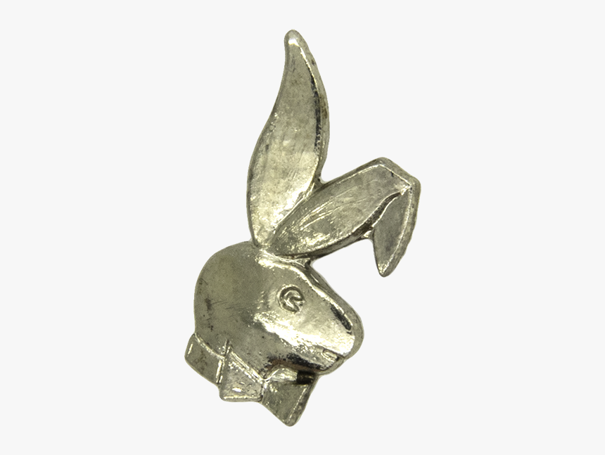 Rabbit, HD Png Download, Free Download