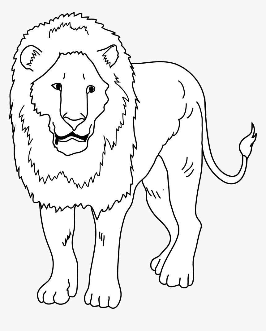 Drawing Lions Outline - Clip Art, HD Png Download, Free Download