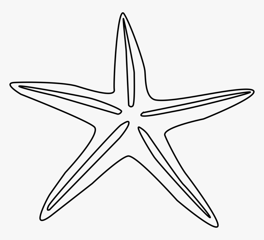 Free Clipart Sand Dollar Outl - Star Shape Object Drawing, HD Png Download, Free Download