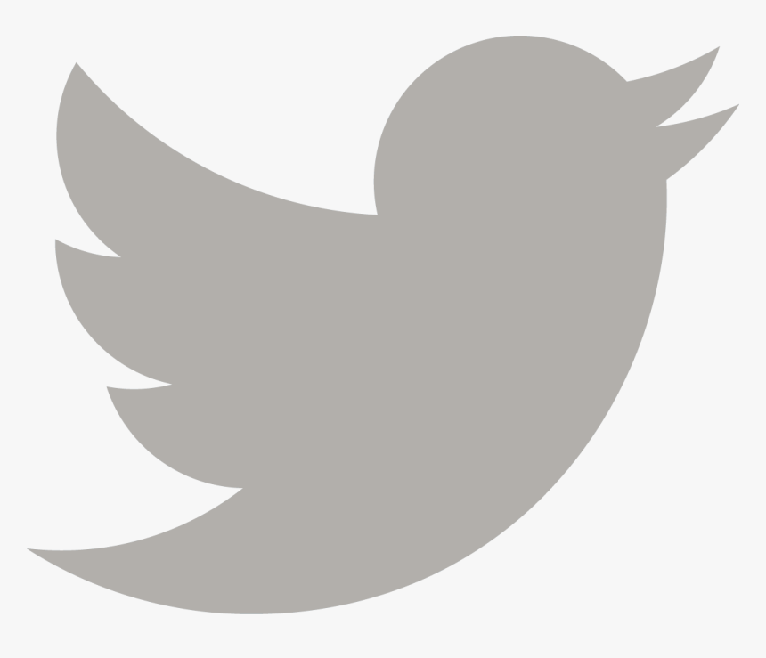 White Twitter Png - Twitter New Logo 2019, Transparent Png, Free Download