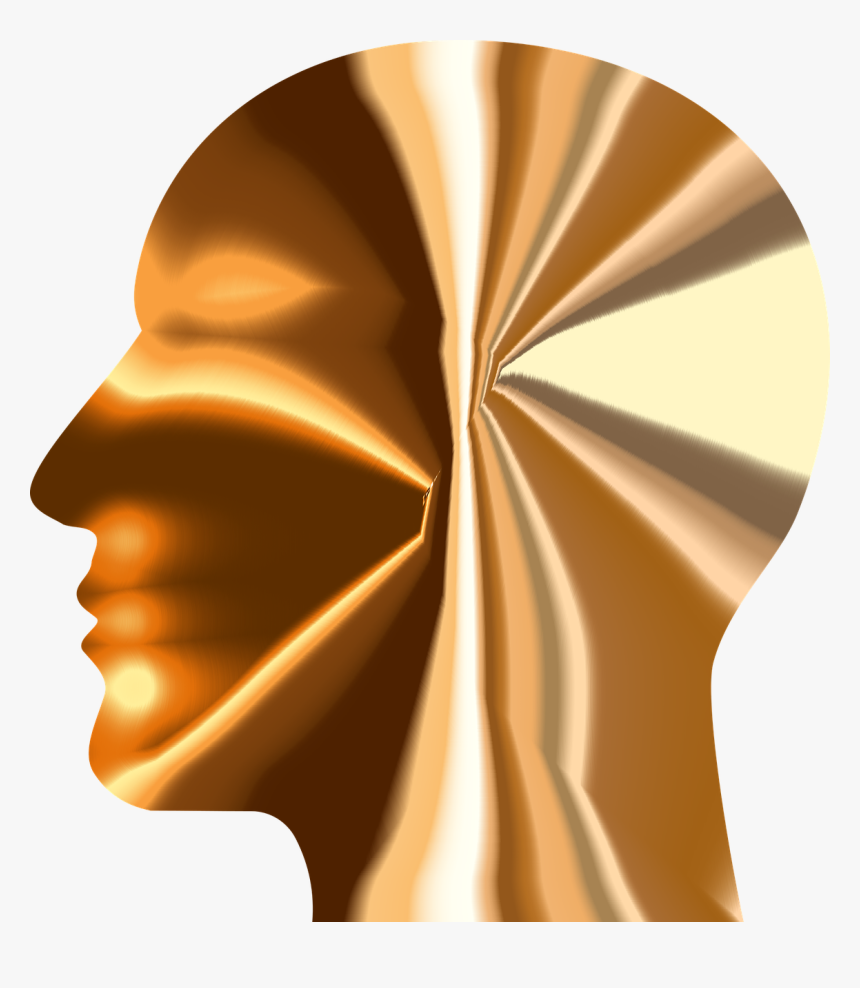 Cranium Head Human Free Photo - Male Model Gold Silhouette, HD Png Download, Free Download